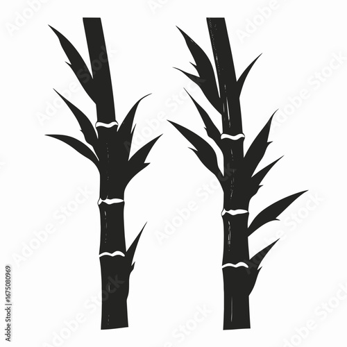 Two stalks of bamboo with leaves creating a striking abstract black silhouette