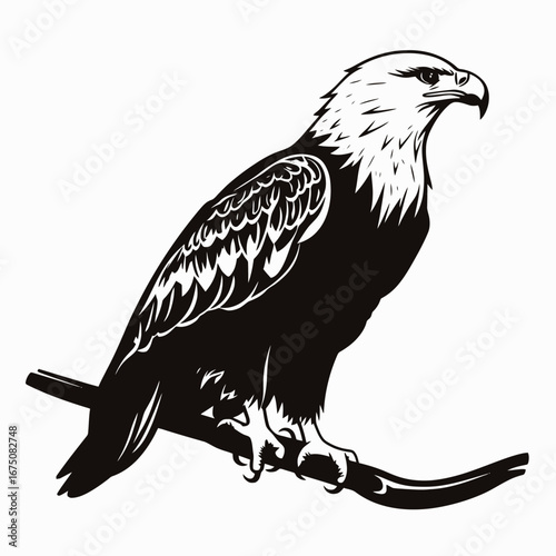Majestic bald eagle portrait perching on branch rendered in striking silhouette
