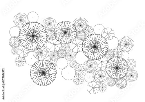 architecture drawing plant tree top view plan black vegetation vector. design nature architectural landscape set element illustration bush garden flora sapling minimal. architect isolated.