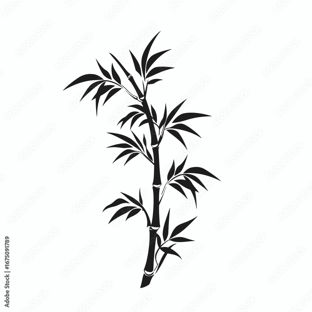 Fototapeta premium Elegant bamboo stalk with delicate leaves creates a striking nature silhouette