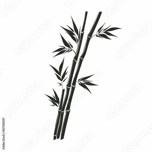 Minimalist bamboo stems with leaves in black and white abstract silhouette