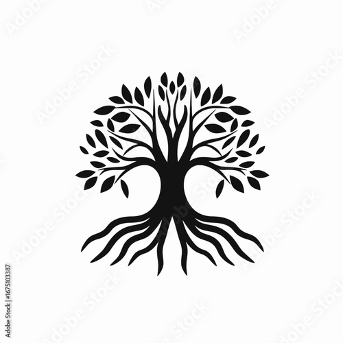Simple elegant tree with leaves and roots on white backdrop silhouette