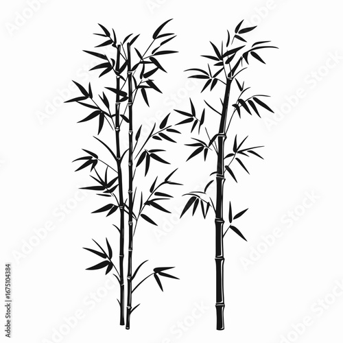 Minimalist bamboo stalks graphic art with leaves oriental nature style silhouette