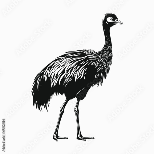 Striking black and white emu illustration with a unique graphic style silhouette