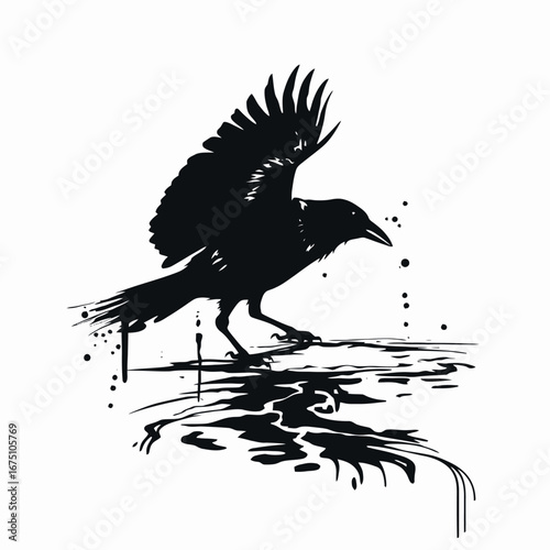 Eerie crow about to take flight from watery surface silhouette