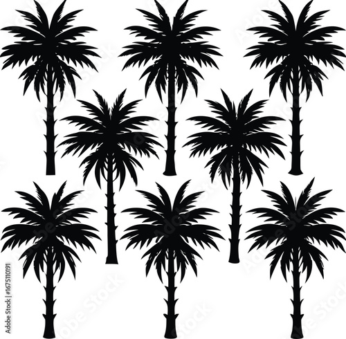 Tropical paradise palms silhouette collection set of nine tall coconut tree graphics for beach resort and summer vacation designs