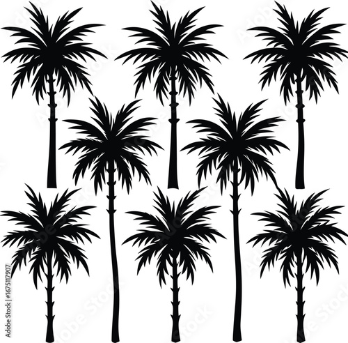 Tropical silhouette palm trees collection nature resort beach summer vacation paradise tropical island exotic flora