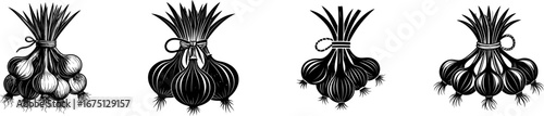 A collection of stylized representations of onions, showcasing their distinct shapes and features in a minimalist black-and-white design.