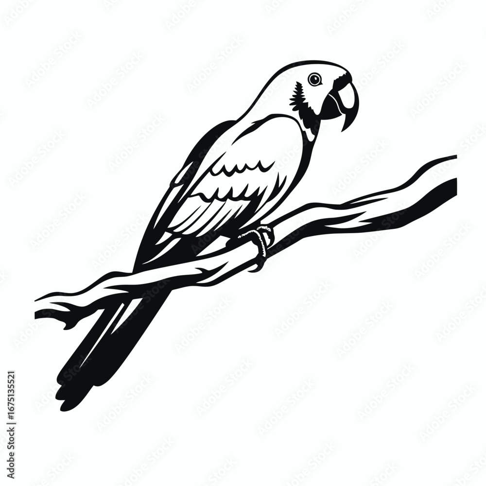 Fototapeta premium Elegant parrot perched gracefully on a branch, artistic design silhouette