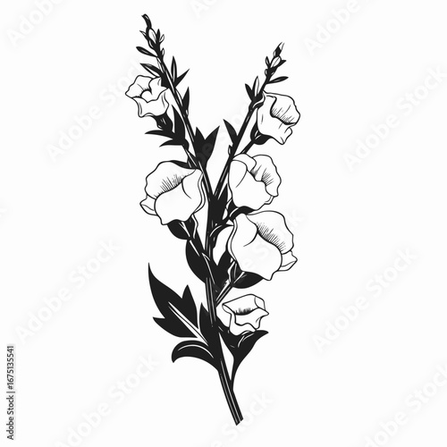 Elegant flowering plant with blooming flowers, a botanical art silhouette