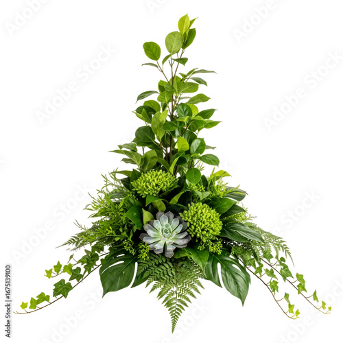 serene succulent symphony a lush green floral arrangement, tranquil botanical decor