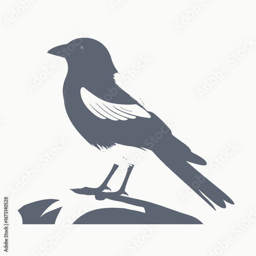 Elegant magpie perching on rocks, a nature's refined avian artwork silhouette