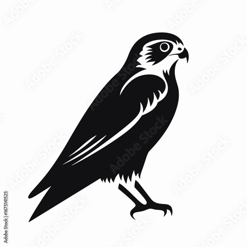 Striking falcon illustration presenting a vector graphic bird of prey silhouette