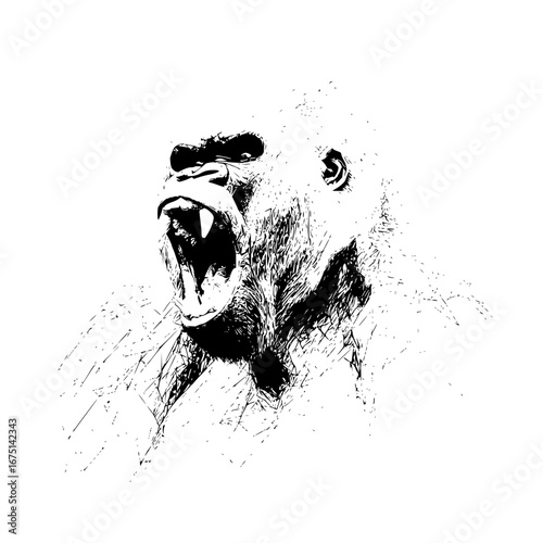 Angry gorilla illustration vector art black and white primate wildlife animal drawing design detailed artwork image