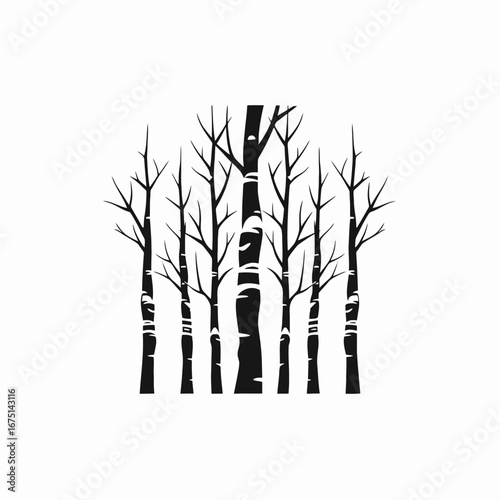Graphic stark row of aspen trees minimalist white background silhouette