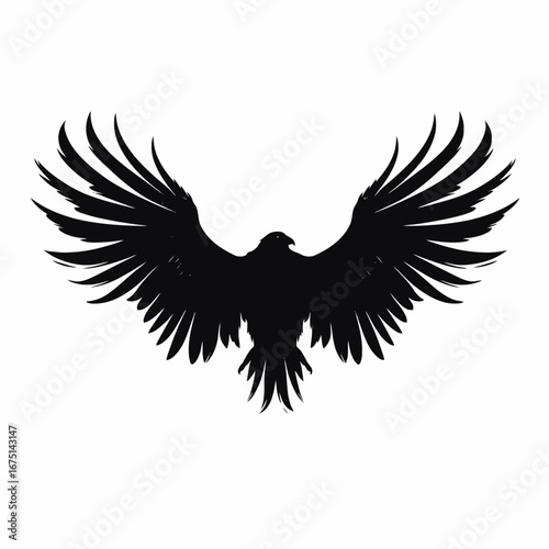 Soaring eagle with outstretched wings makes a dark silhouette