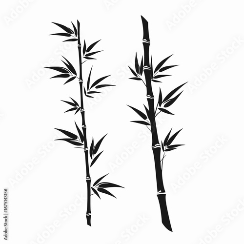 Elegant black and white bamboo stalks with leaves vector illustration silhouette
