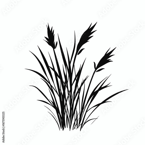 Elegant reed abstract illustration, simple field crop black silhouette