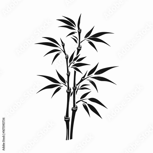 Elegant bamboo stalks with pointy leaves graphic art vector silhouette