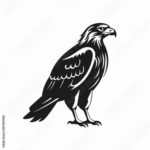 Majestic stylized bird of prey art graphic logo vector silhouette