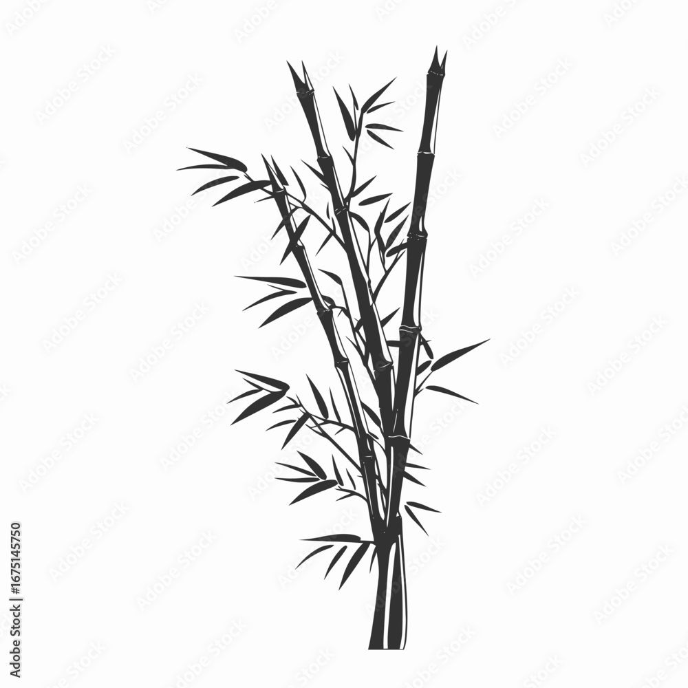 Fototapeta premium Elegant botanical zen bamboo stems with leaves vector art silhouette
