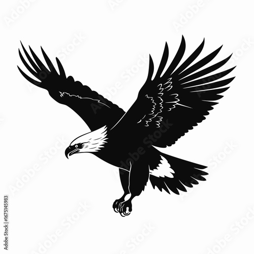 Majestic eagle soars, a powerful avian predator flight black silhouette