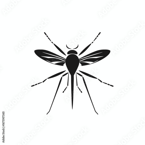 Striking image of dangerous mosquito shown in sleek dark silhouette