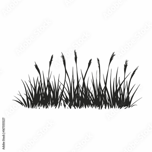 Minimalistic meadow grass field plant vector graphic black silhouette