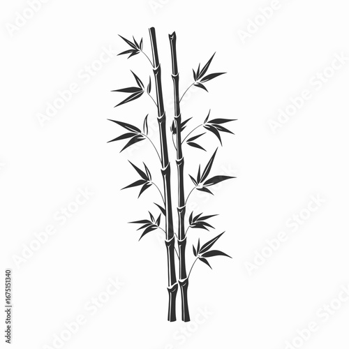 Elegant bamboo stalks design with Asian influence botanical graphic silhouette