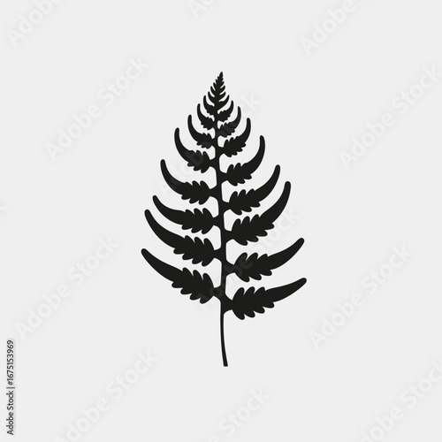 Fern frond detailed botanical vector graphic isolated silhouette