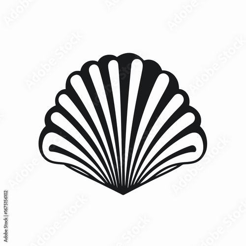 Elegant single seashell ocean life black on white backdrop silhouette