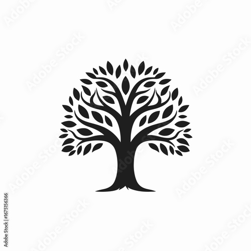 Stylized majestic deciduous vector tree trunk crown graphic elegant silhouette