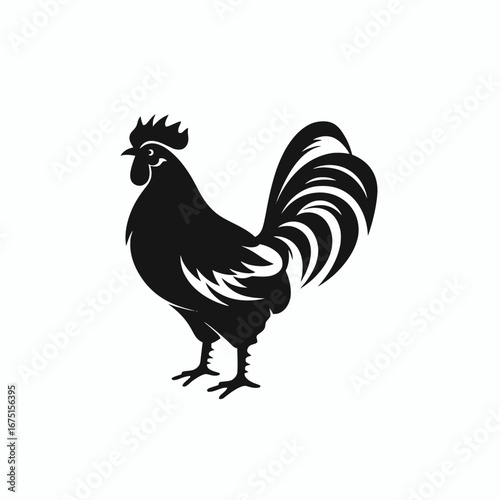 Majestic black rooster, vintage farm animal vector illustration, isolated silhouette