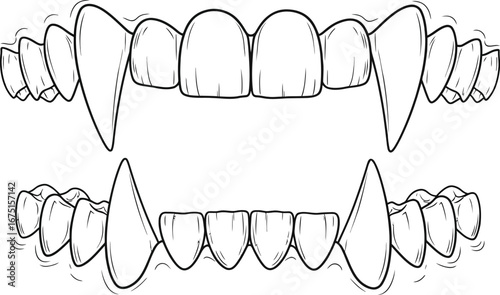 Vampire teeth illustration showing upper and lower fangs on a white background