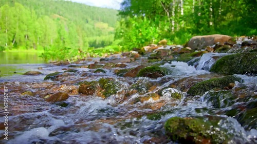 Wallpaper Mural Landscape of a mountain river. High quality 4k footage Torontodigital.ca