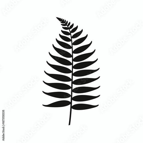 Elegant fern frond botanical illustration in black and white minimal silhouette