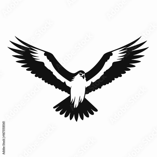 Striking falcon soars with outstretched wings in bold, monochrome silhouette