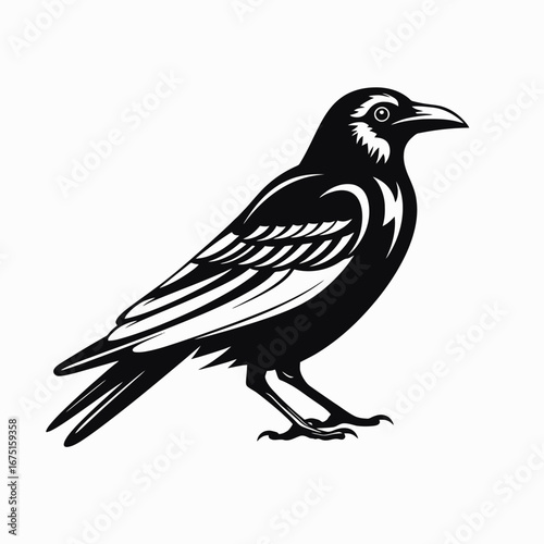 Mysterious black raven standing in stark contrast, creating an intriguing silhouette