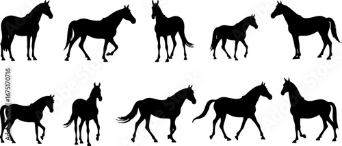 Black Horse Silhouettes in Various Poses
