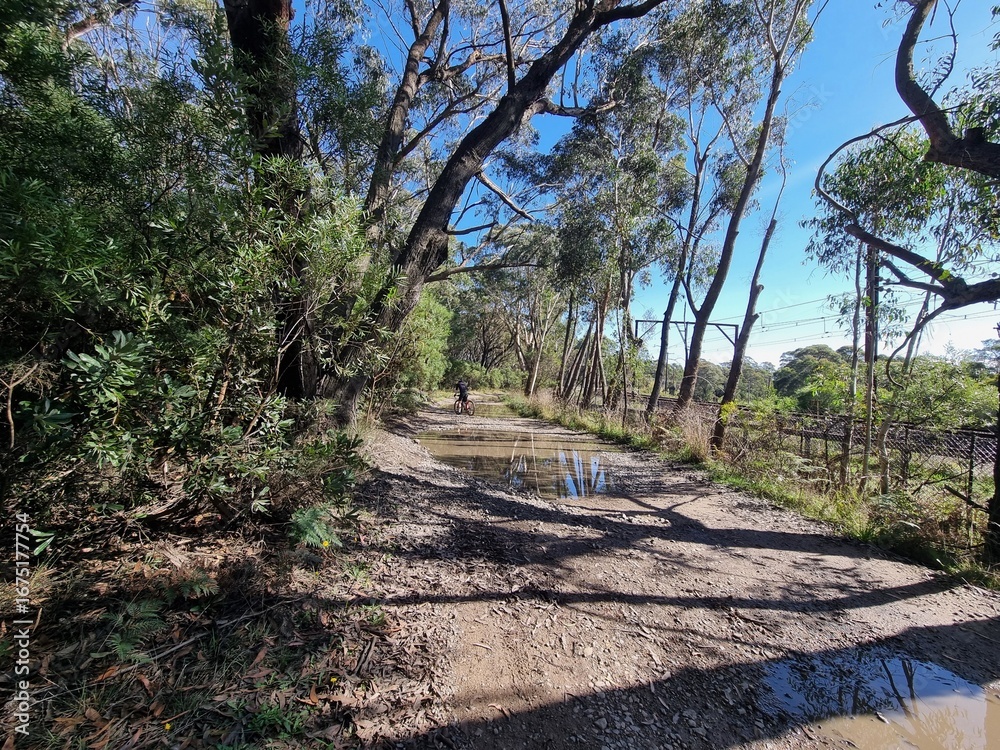 Fototapeta premium Grand Canyon Street Gravel Road in Medlow Bath, Blue Mountains, Australia