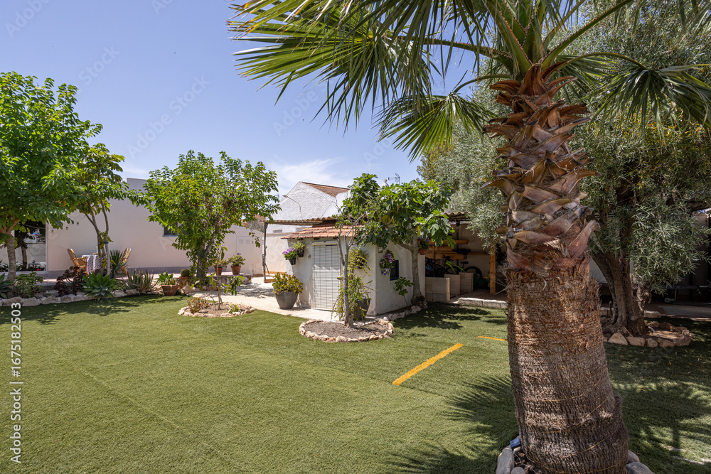 Obraz premium Backyard with Palm Tree and Lawn