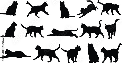Cat silhouettes, domestic pet, black cat, walking cat, sitting cat, playing cat, feline poses, vector illustration, animal design