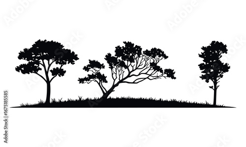Black tree silhouettes collection. Single tree vectors. Tree in silhouette. Various tree vectors. Forest and nature concept. Collection of different tree symbols.