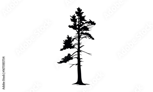 Black tree silhouettes collection. Single tree vectors. Tree in silhouette. Various tree vectors. Forest and nature concept. Collection of different tree symbols.