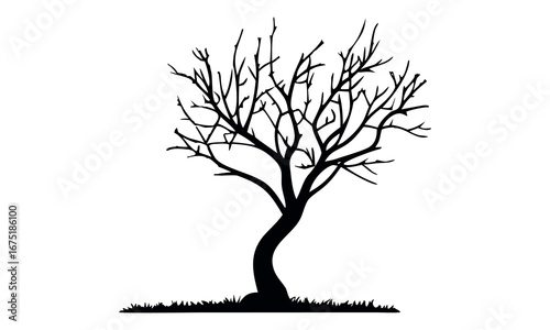 Black tree silhouettes collection. Single tree vectors. Tree in silhouette. Various tree vectors. Forest and nature concept. Collection of different tree symbols.
