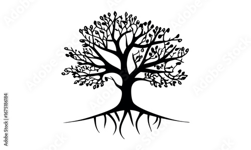 Black tree silhouettes collection. Single tree vectors. Tree in silhouette. Various tree vectors. Forest and nature concept. Collection of different tree symbols.