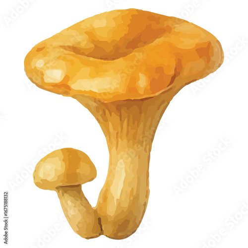 Bright Orange Mushroom Illustration for Nature Art Prints