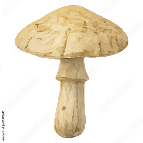 Elegant Beige Mushroom Illustration for Forest Art Designs