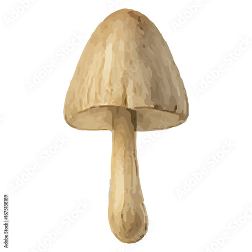 Sleek Beige Mushroom Illustration for Botanical Design Projects