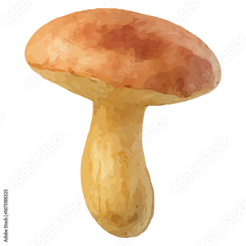 Vibrant Orange Cap Mushroom Illustration for Nature Art Projects